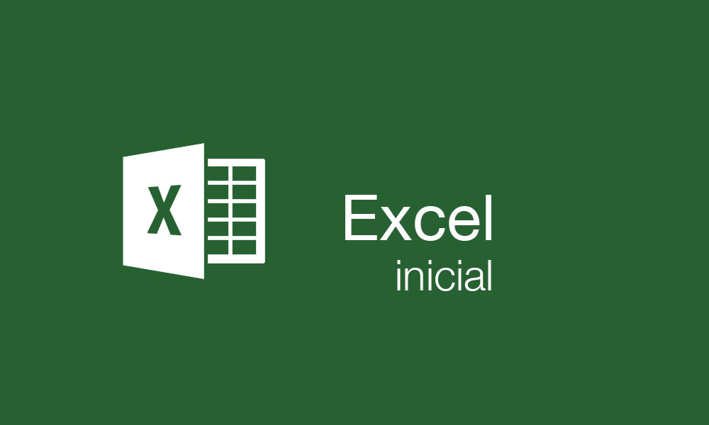 curs excel inicial aedes girona